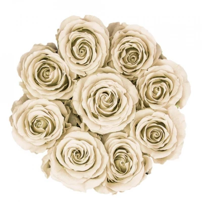 Imagine din Aranjament floral cu 9 trandafiri de sapun, in cutie neagra rotunda, crem (Culoare: Crem)